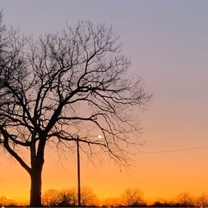 Meet your Posher, Alivia